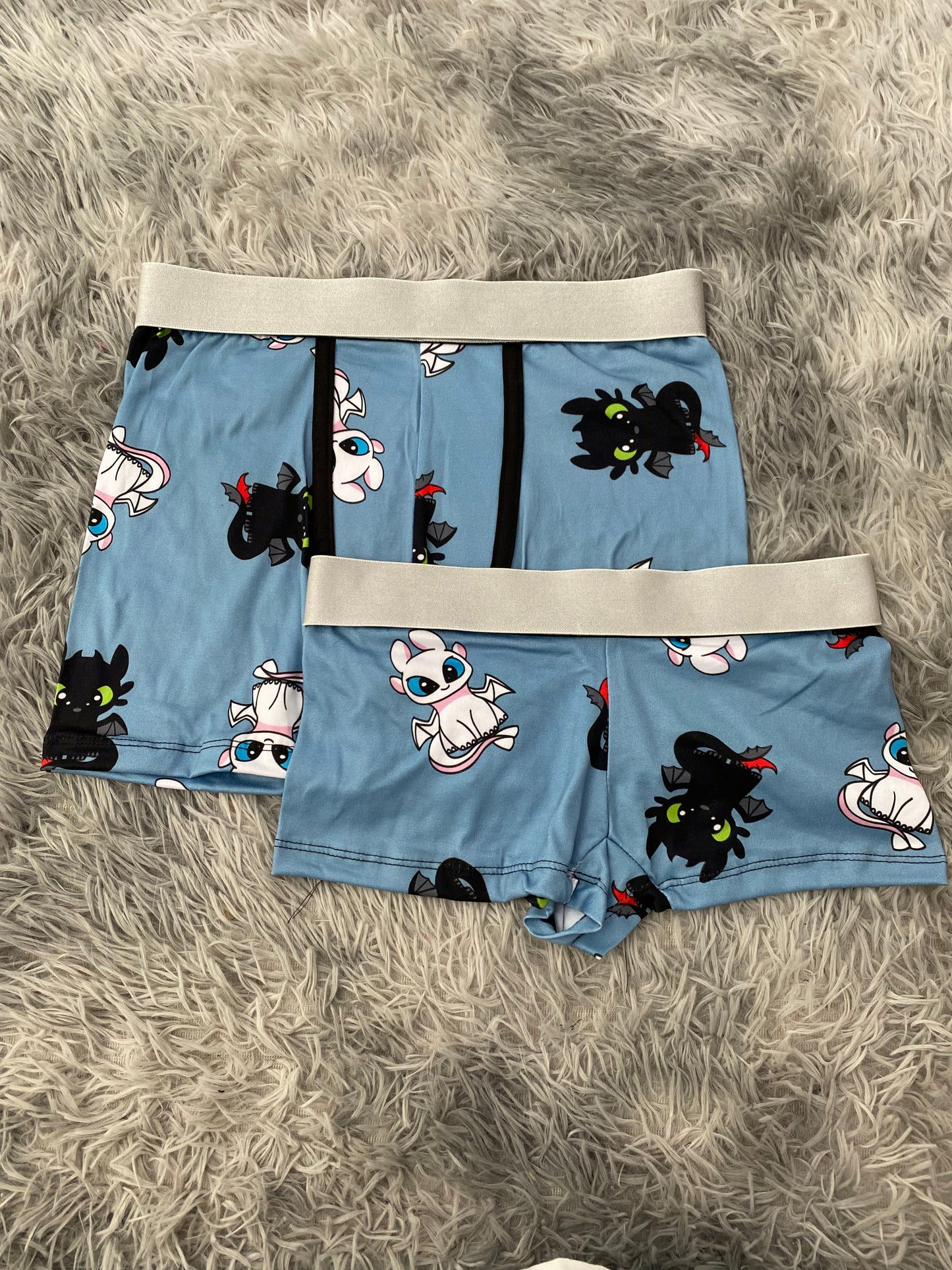How to Train Your Dragon Blue Matching Boxer & Boxer Set for Couples