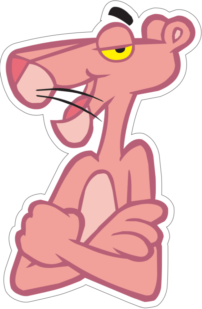 Pink panther Plush throw