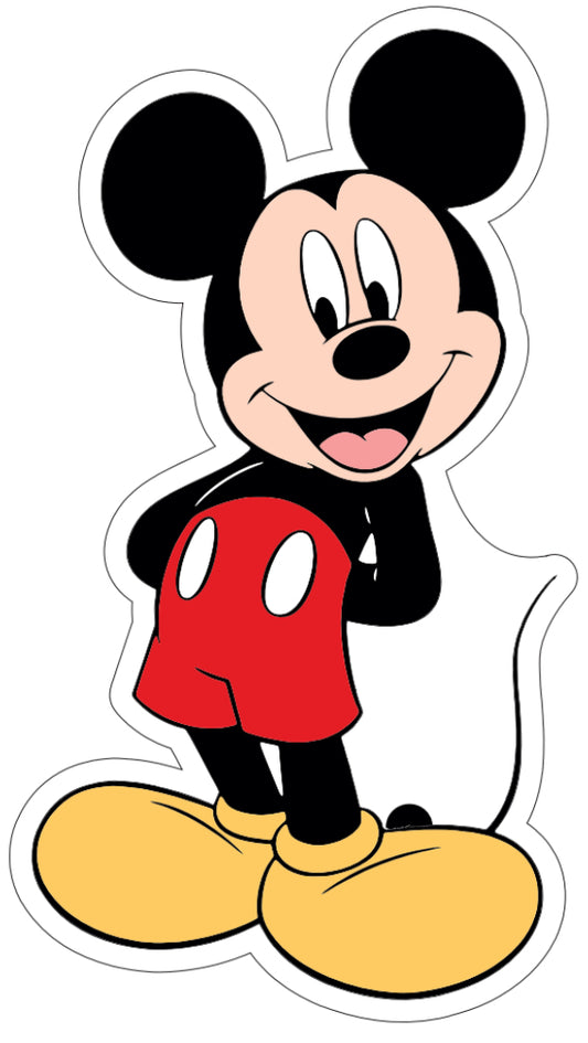 Mickey mouse 2 Plush throw