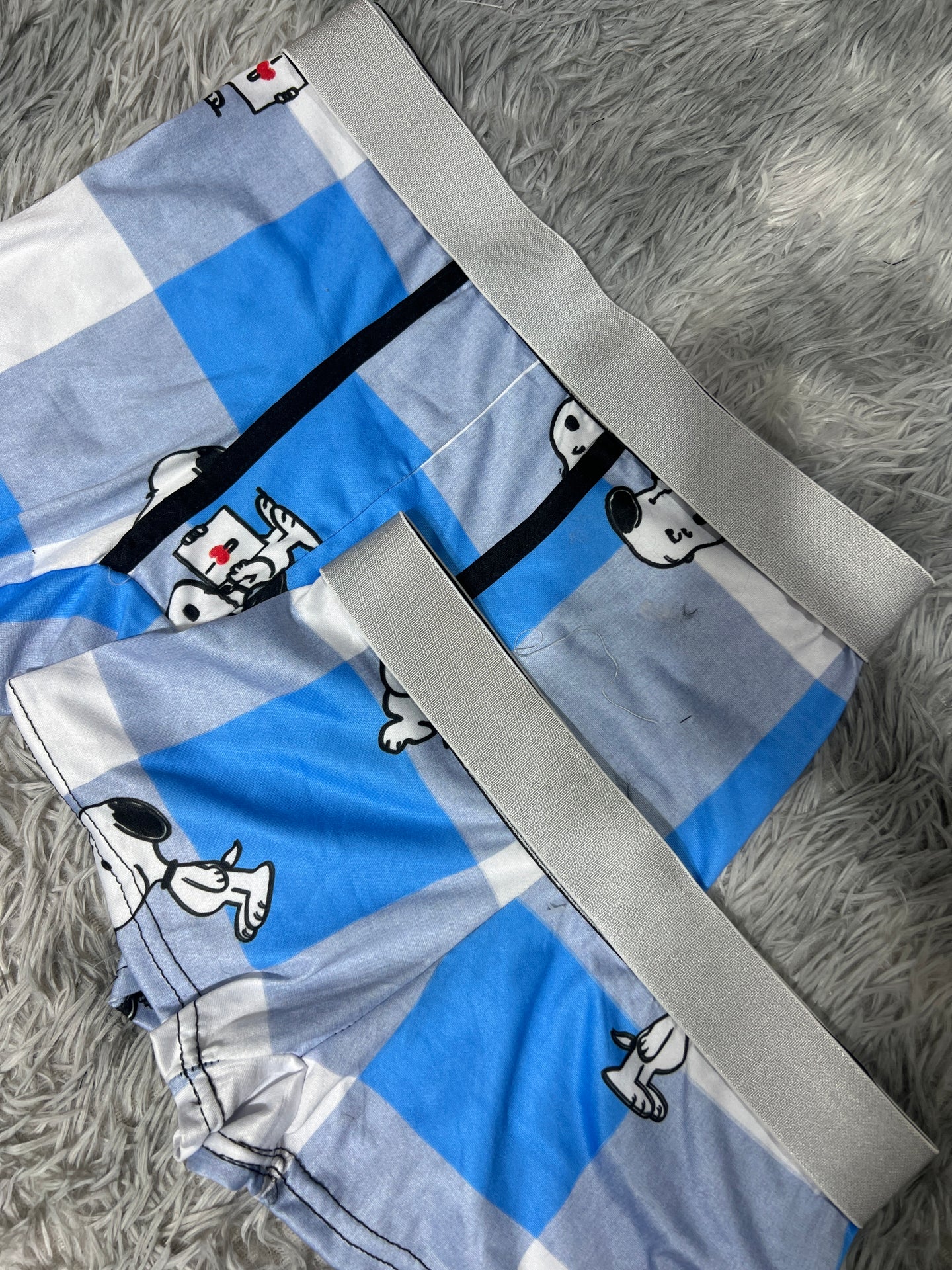Snoopy Plaid Blue Matching Boxers - Fundies
