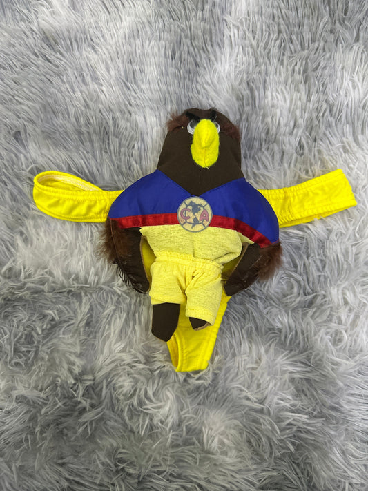 Eagle of America  Funny thong