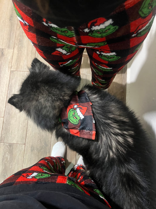 Grinch red plush pajama pet family set christmas