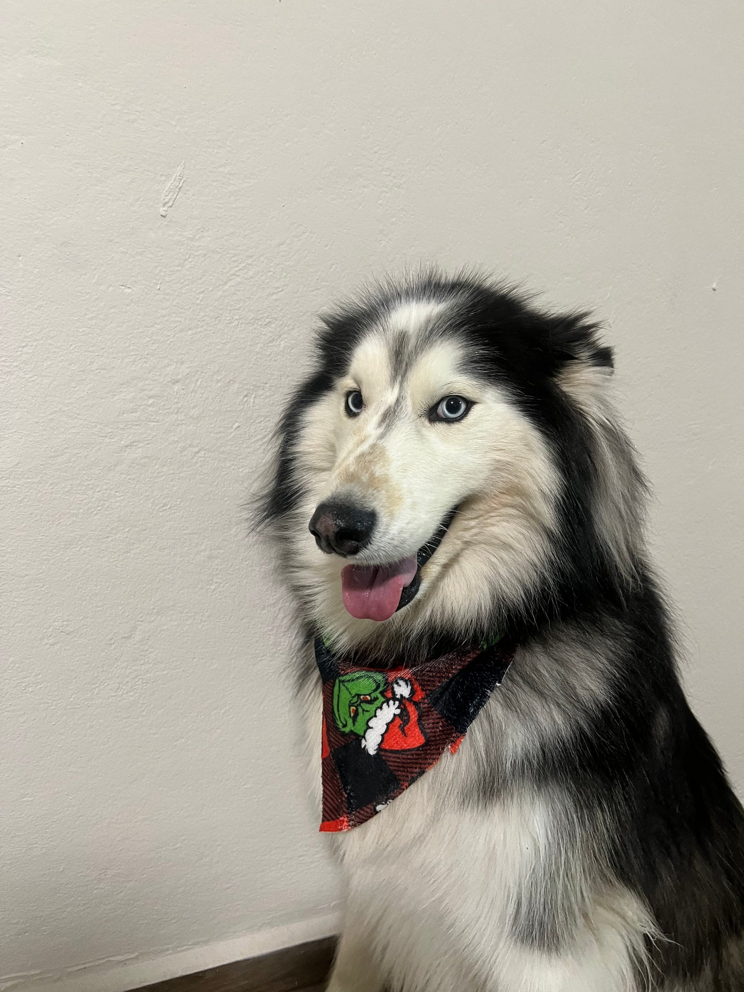 Grinch red plush pajama pet family set christmas