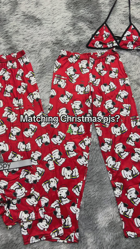 Snoopy Christmas 5 pz background